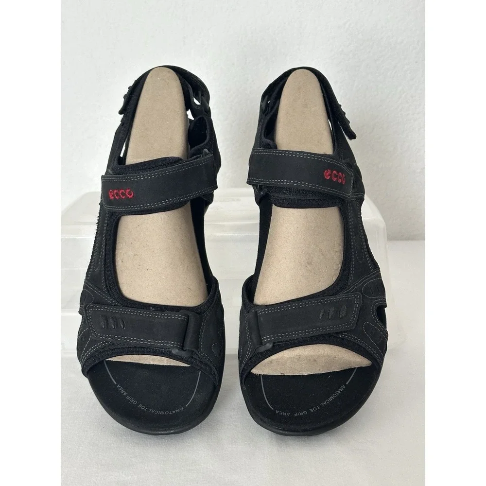 Ecco all terrain